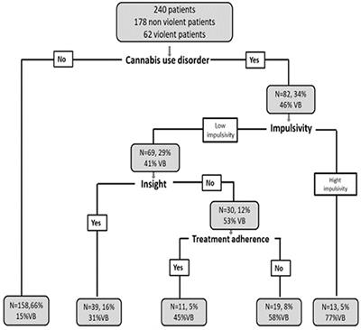 Cannabis, a Significant Risk Factor for Violent Behavior in the Early Phase Psychosis. Two Patterns of Interaction of Factors Increase the Risk of Violent Behavior: Cannabis Use Disorder and Impulsivity; Cannabis Use Disorder, Lack of Insight and Treatment Adherence